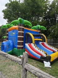 Yard Card Free with Inflatable Rental IMG_2091_1745189169